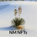 New Mexico NFTs Discord Server Icon