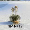 New Mexico NFTs