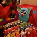 New Zealand furby friends