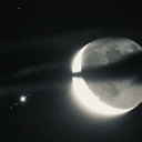 nyctophilia - discord server icon