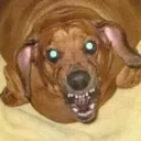 Server icon for hatdog na gold server