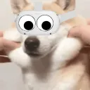 LolGamer Discord