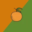 orangegrovedefi