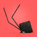 Daddy Long Legs Community