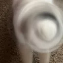 Astro Maniacs