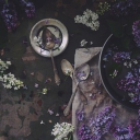 The Witches Center ⋆.ೃ࿔*:・