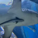 Therapy Deprived Discord Server Icon