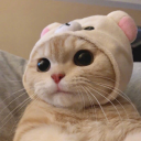 ðšðš›ðšŠðš—ðššðšžðš’ðš•ðš’ðšðš¢ Server Icon