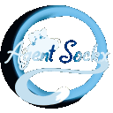 The Sock Bin