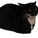 A discord server about the DSMP but has gone to shit