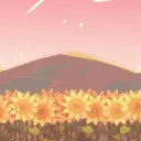 the sunflower field