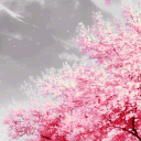 🌨𝐃𝐞𝐨𝐧𝐢𝐭𝐲⛄🌸