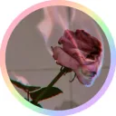 𝙰𝚜𝚝𝚎𝚛𝚒𝚊’𝚜 𝙲𝚘𝚛𝚗𝚎𝚛