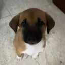 imduong2k6 Community Discord Server Icon