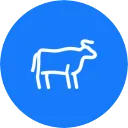 CryptoTorro