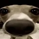 Otacrew Discord Server Icon