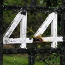 44