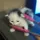 Shin's Server