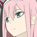 Bongo Dongo