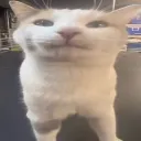 ghosts dungeon Discord Server Icon