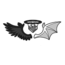ੈ✩‧₊˚ FosterSiren ੈ✩‧₊˚ Discord server icon