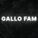 Gallo's server