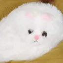 わたゲーフレンドモンハン部