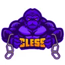 Chainless Token