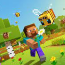 server of minecraft