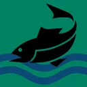 United Sea Bass Islands | Discord
