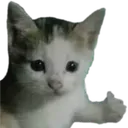 Voltcord