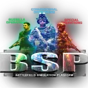 B.S.P Group