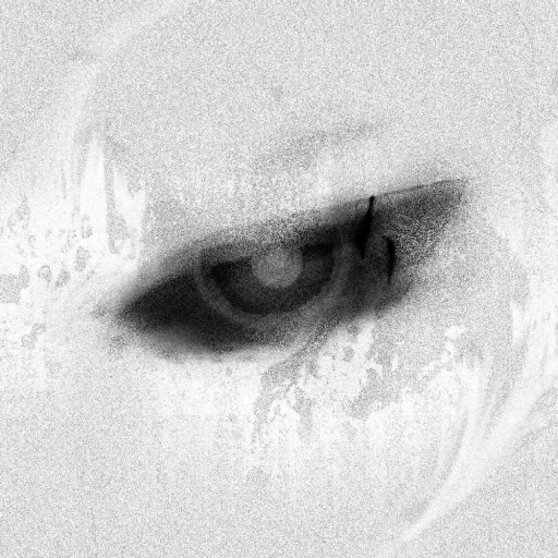 tired to death — мониторинг Discord сервера, статистика и рейтинг