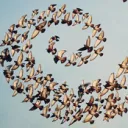 The TwigFeet Community Discord Server™