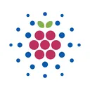 Adaberry Pi [00000]