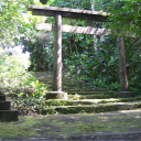 The Forgotten Shrine