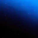 Night Movie