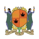 The Highvergent Collective Discord Server Icon