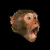 KoobieKord