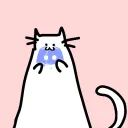 tuna fanclub