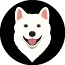 Jejudoge bfm community