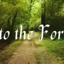 Into the Forest