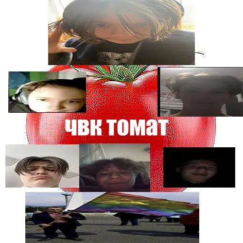 ЧВК "Томат" Rotternat — мониторинг Discord сервера, статистика и рейтинг