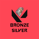 Valorant Bronze/Silver AU Server Icon