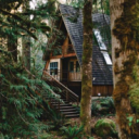 HxH's Cozy Cottage Server Icon