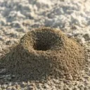 the anthill
