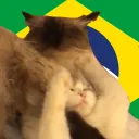 brazilian issues