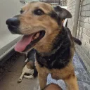 MANAGER DE FUTBOL Discord Server Icon