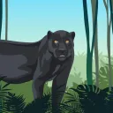 The Jungle