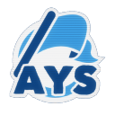 Advertise Your Server icon